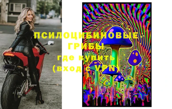 МДМА Богородицк