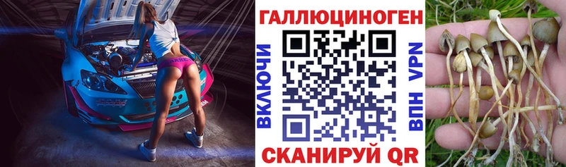 даркнет сайт  Богучар  Псилоцибиновые грибы мицелий 